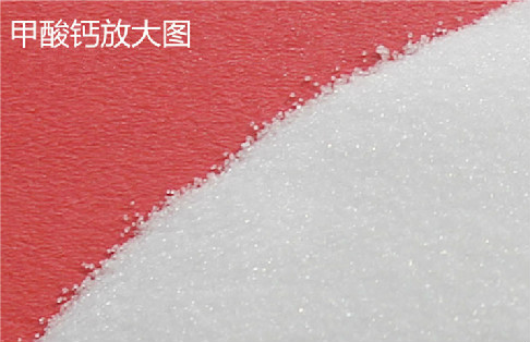 英国上市公司365甲酸钙-好吸收的钙！