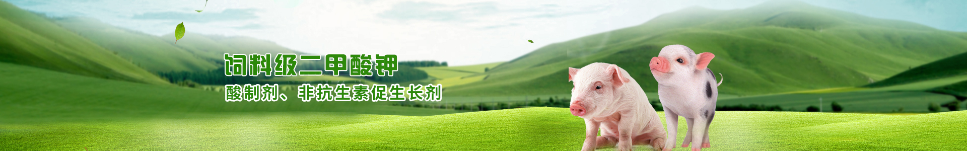 英国上市公司365