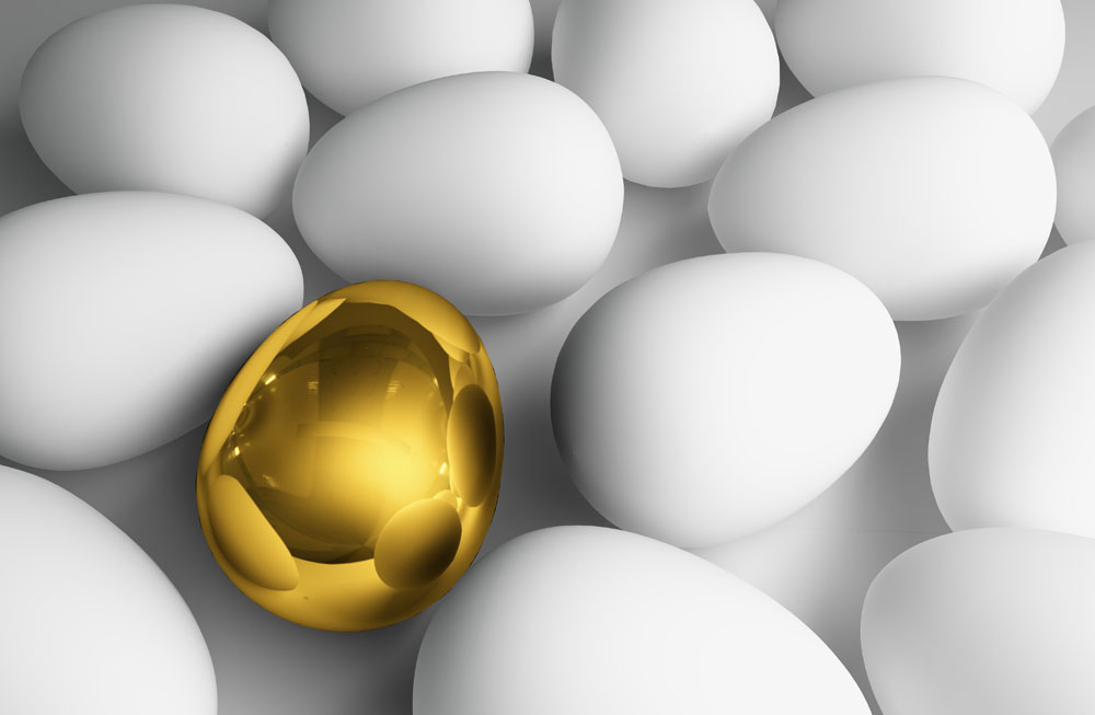 1536808761261502.jpg 8.jpg