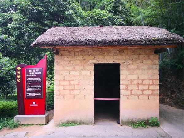 1537329819533307.jpg 61.jpg