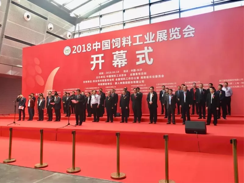 饲料级甲酸钙 饲料级甲酸钙