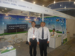 英国上市公司365牧业