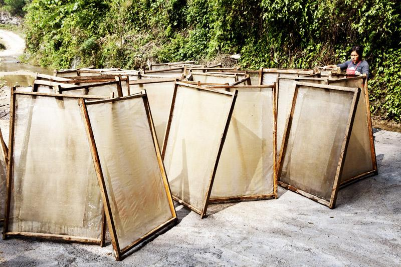 双乙酸钠应用范围 双乙酸钠应用范围