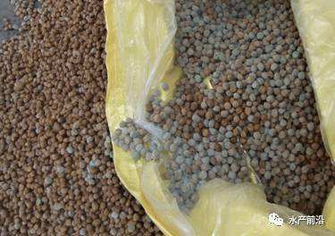 双乙酸钠预防饲料发霉 双乙酸钠预防饲料发霉