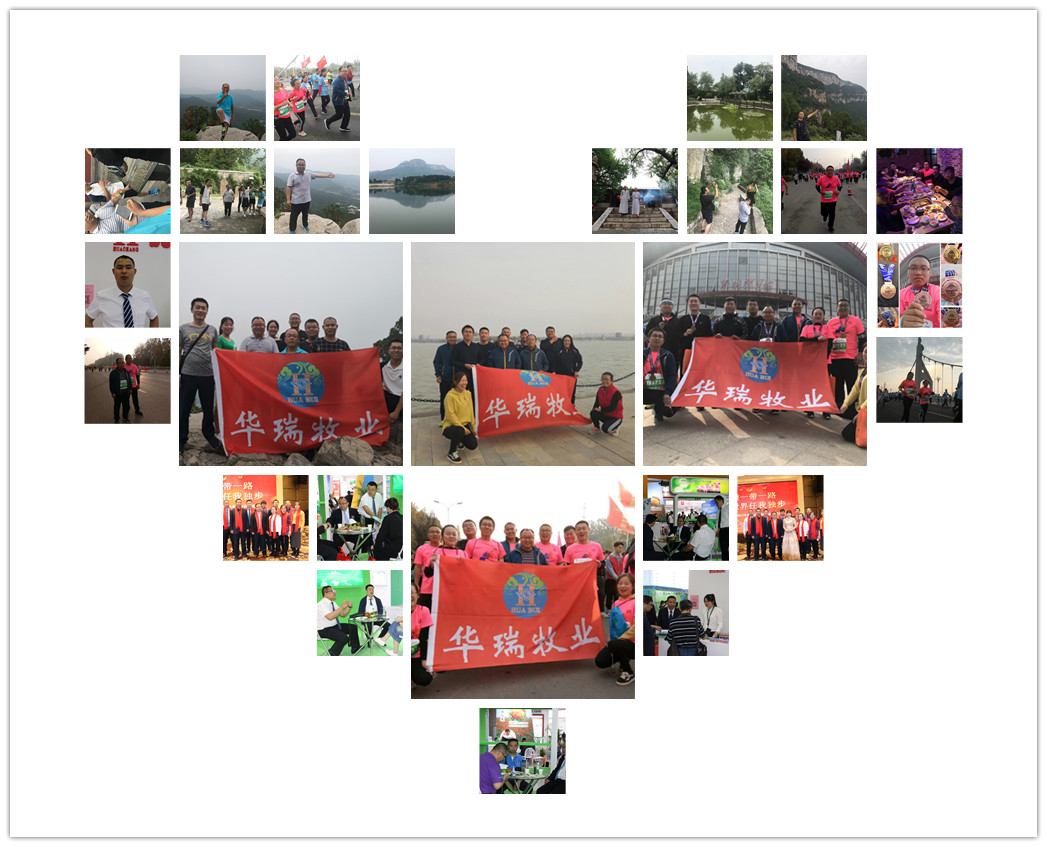 英国上市公司365牧业员工