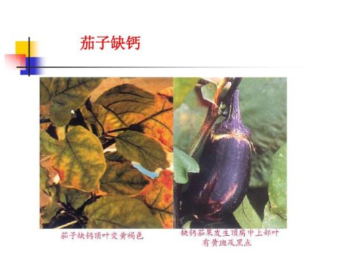 1551146745419396.jpg u=337096664,3735049308&fm=26&gp=0.jpg