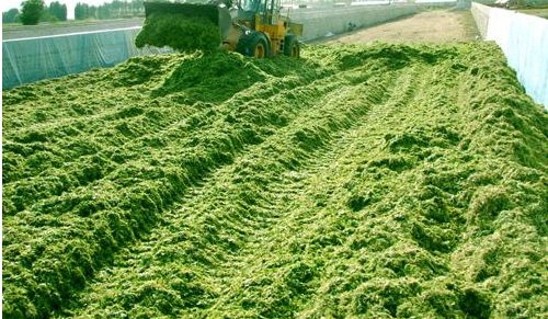 1556505936724800.jpg timg.jpg