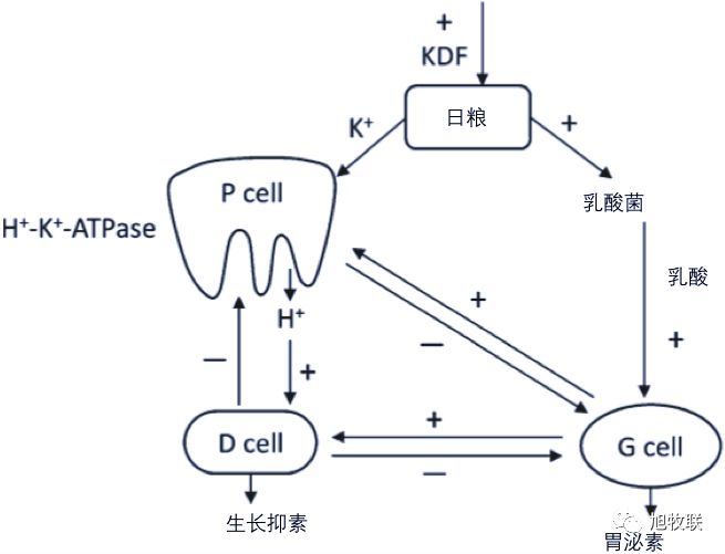 1557979171441911.jpg 微信图片_20190516115807.jpg