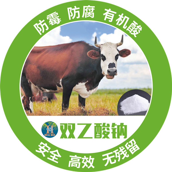 1558425917413001.png 10_副本.png