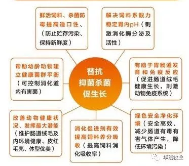 1559182099290736.png 微信图片_20190508093244.png