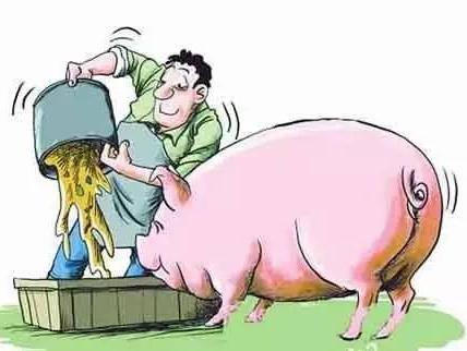 1562638176156493.jpg 6bf116e6f64c468dbd5a80fb14b70d65_th.jpg