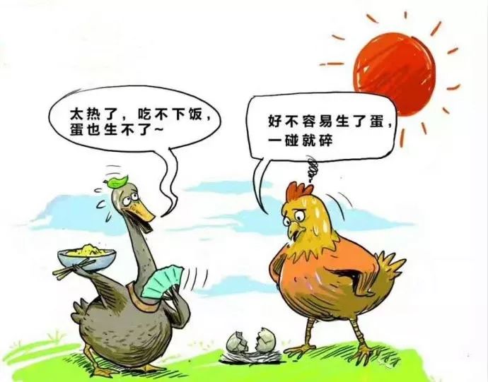 1565055176499221.jpeg 8bac61ff23ad4eee977ce28e2cc43e12.jpeg