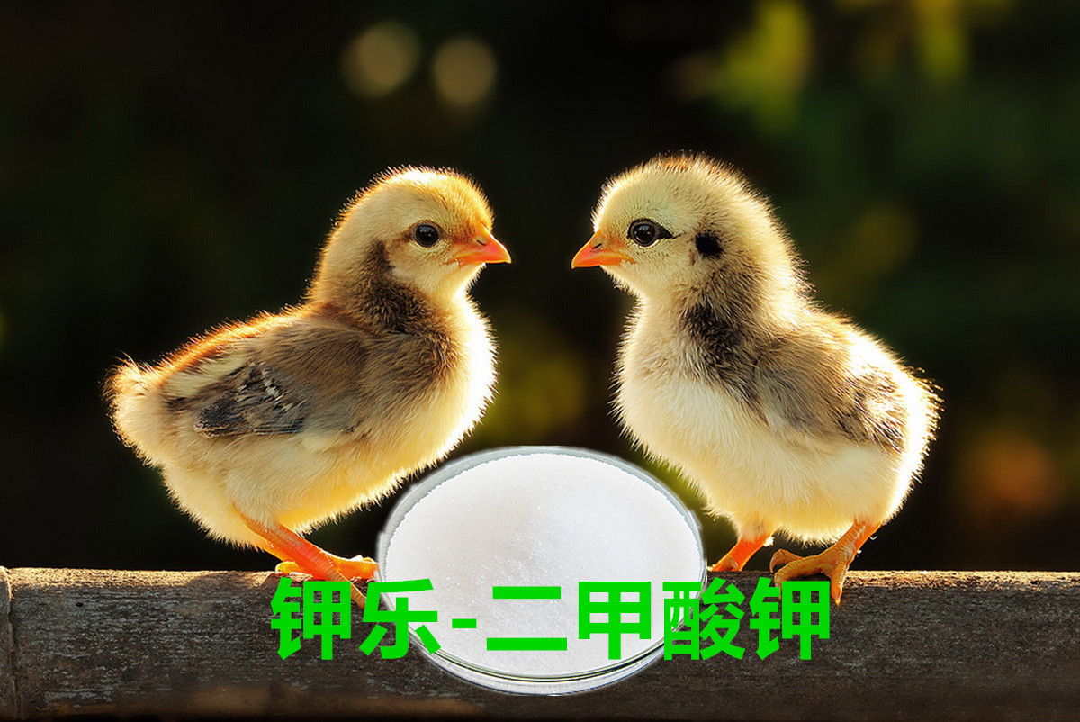 1566177748204243.jpg 20160830083627_5787.jpg