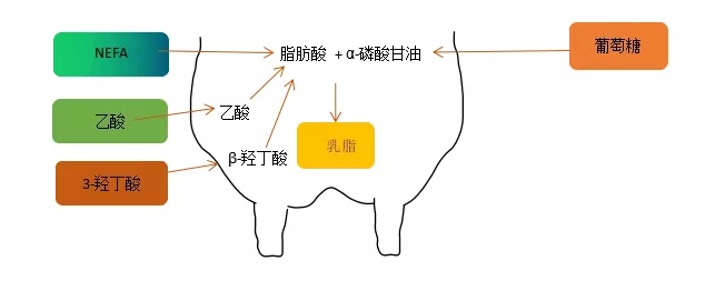 1566782225247596.png 微信图片_20190826091610.png