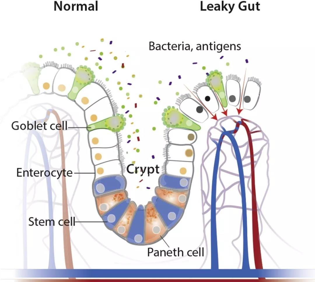 1581560421779155.jpg 微信图片_20200213101636.jpg