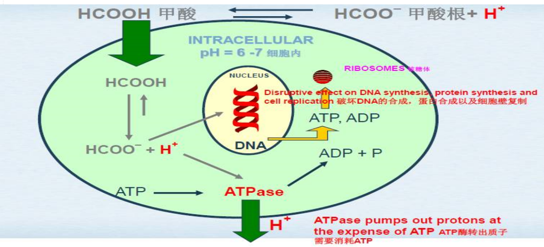 1585096034425984.png 微信图片_20190801081456.png