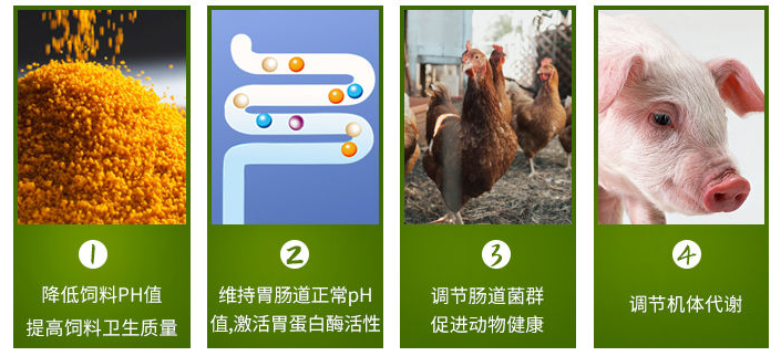 1594347365923650.png 微信图片_20200506134951.png