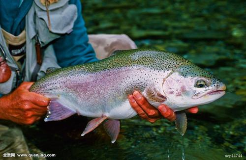 1599631383526763.jpg u=2840411165,1438555116&fm=26&gp=0.jpg