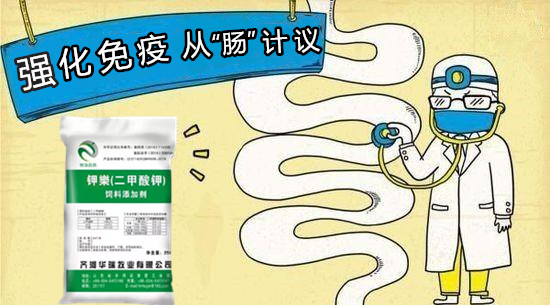 1615272705213731.jpg 5b0988e595225.cdn.sohucs.jpg